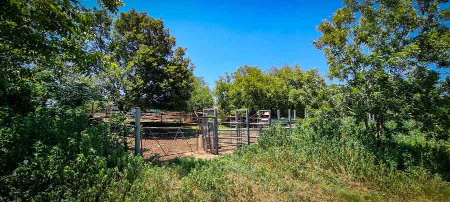 10 Bedroom Property for Sale in Skeerpoort North West